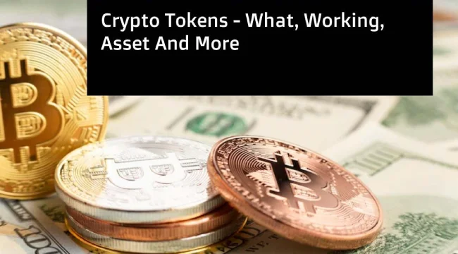 Crypto Tokens – What, Working, Asset And More [2024]