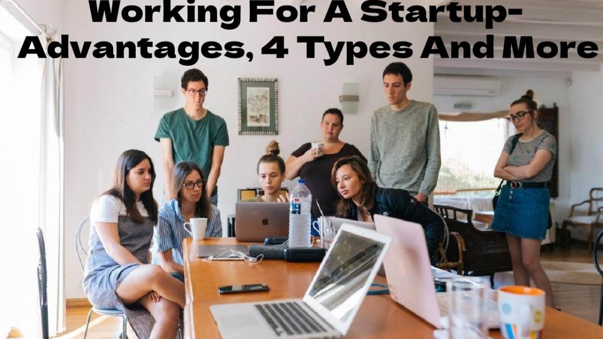 Working For A Startup- Advantages, 4 Types And More