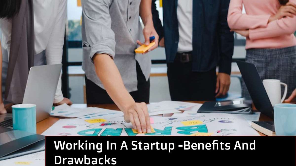 Working In A Startup : Benefits And Drawbacks