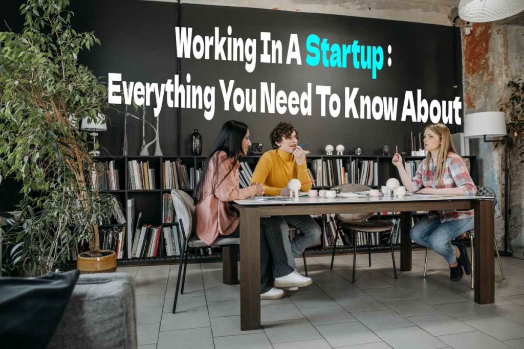 Working In A Startup Everything You Need To Know About