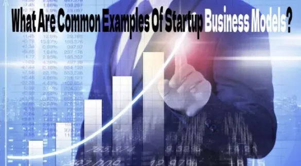 What Are Common Examples Of Startup Business Models