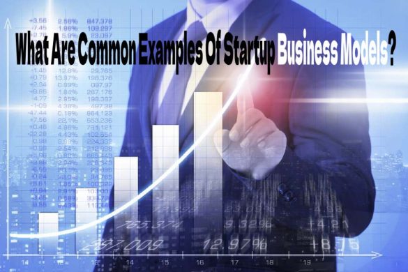What Are Common Examples Of Startup Business Models