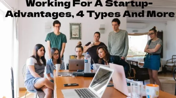 Working For A Startup