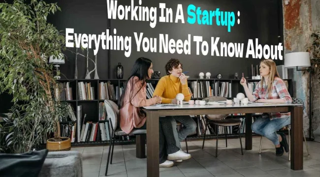 Working In A Startup : Everything You Need To Know [2024]