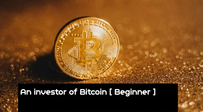 An Investor of Bitcoin Beginner [2024]