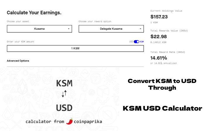 Convert KSM to USD Through KSM USD Calculator