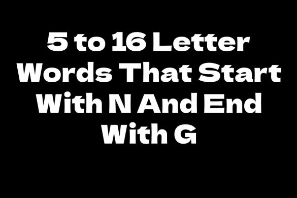 Words That Start With N And End With G