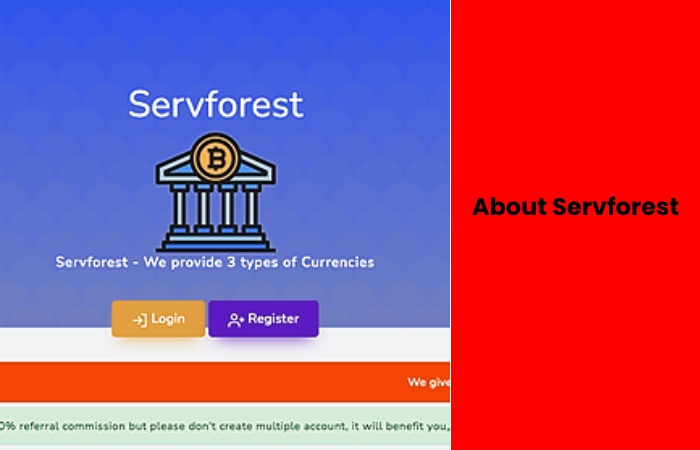 About Servforest