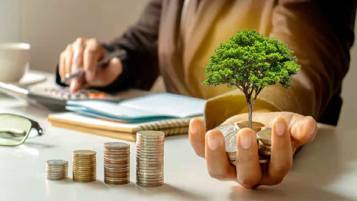 A Beginner’s Guide to Investing, Types and More [2024]