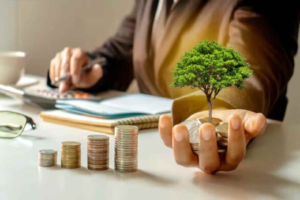 A Beginner's Guide to Investing