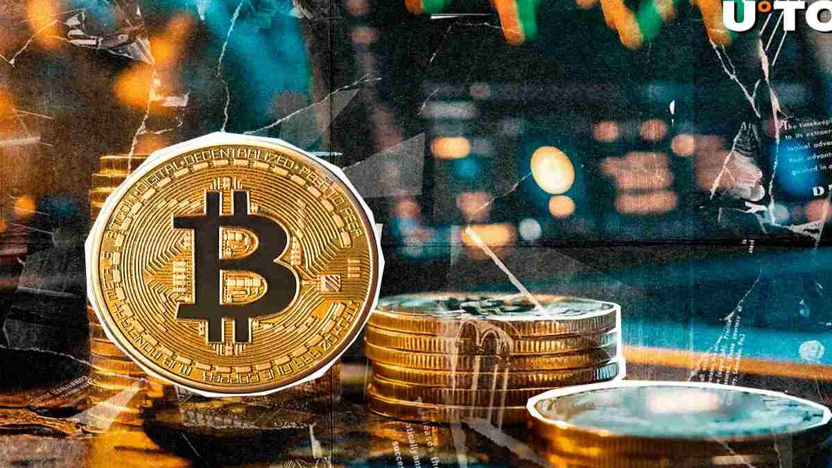 Coinmak – About, Purpose, Benefits and More [2024]