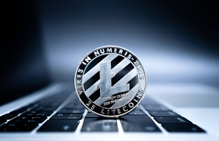 Litecoin Write For Us
